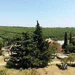 Mirta 1 *