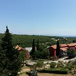 Mirta 1 * Pavicini