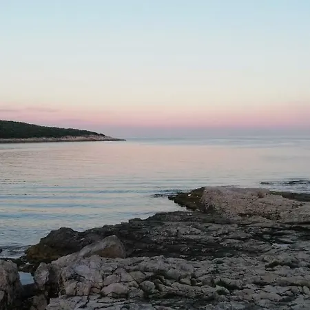 Mirta 1